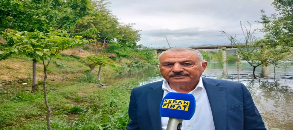 FIRAT NEHİRİNDE AYNALI SAZAN ŞÖLENİ