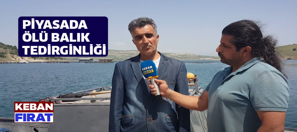 Piyasada ölü balık tedirginliği  