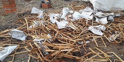 AYILAR 50 KOVANI PARÇALADI, 100 KİLO BALI YEDİ