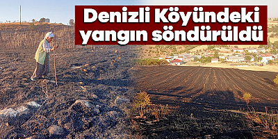 Denizli köyündeki yangın söndürüldü