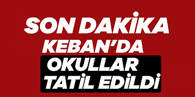 Keban'da okullar tatil edildi