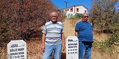 AKIL ALMAZ SAYGISIZLIK ÖRNEĞİ