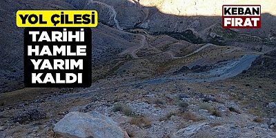 Tarihi hamle yarım kaldı 