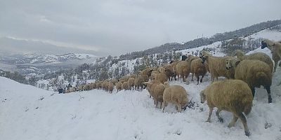 TUNCELİ'DE KAR YAĞIŞI
