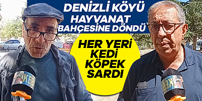 Vatandaşın başı kedi köpekle dertte