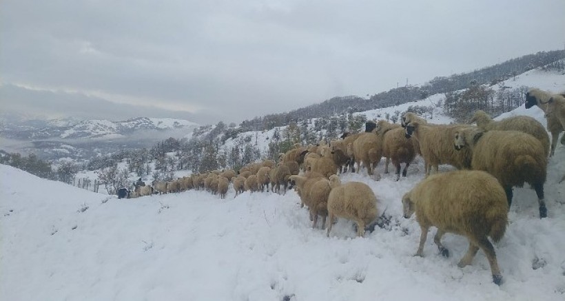 TUNCELİ'DE KAR YAĞIŞI