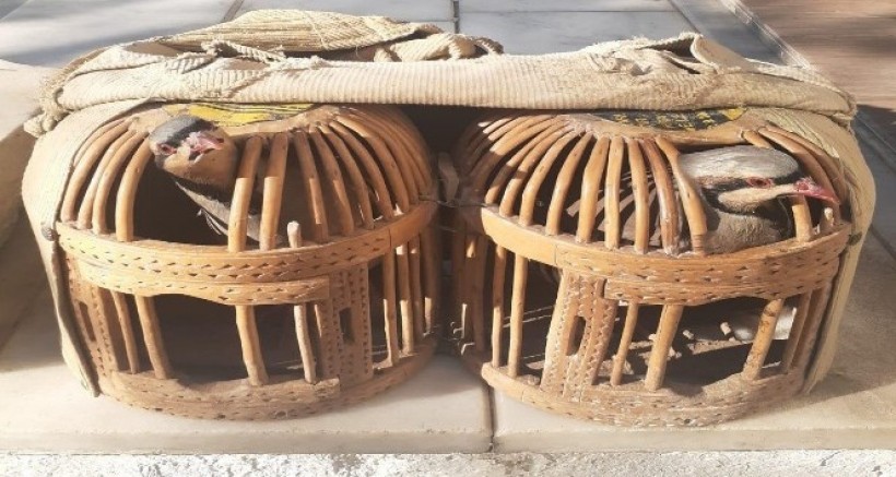 USÜLSÜZ KEKLİK AVINA 3 BİN 100 TL PARA CEZASI KESİLDİ