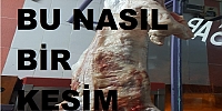 Keban'da kasaplık yapan Halim Taş mezbahane!den yana dertli